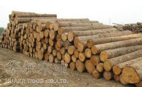 影响木材干燥的外在因素都有哪些？